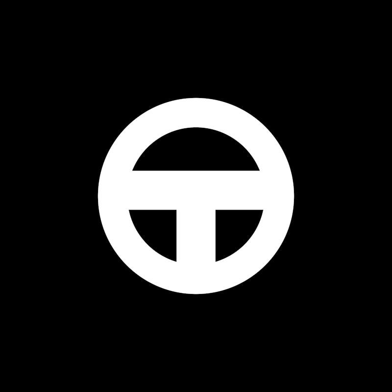 Inspirational logo designed by Sergio Salaroli for Terninoss Acciai Inossidabili}